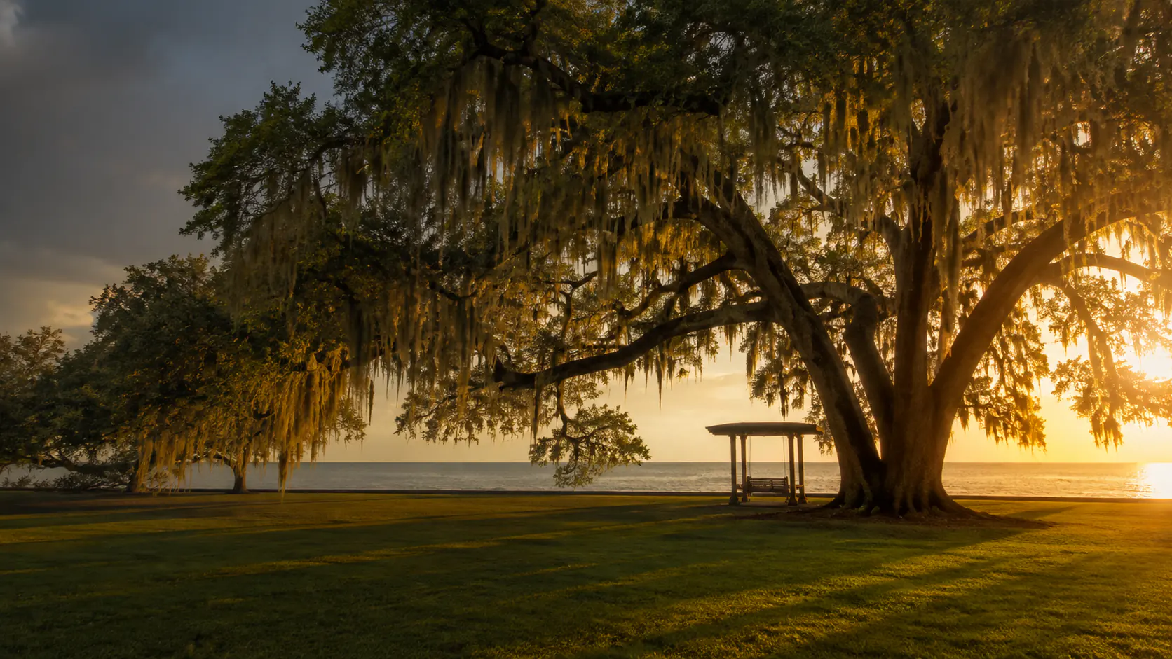 Mandeville small business marketing near the Lake Pontchartrain lakefront